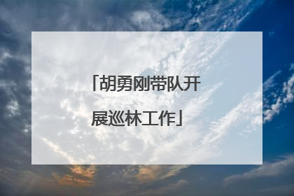 胡勇刚带队开展巡林工作