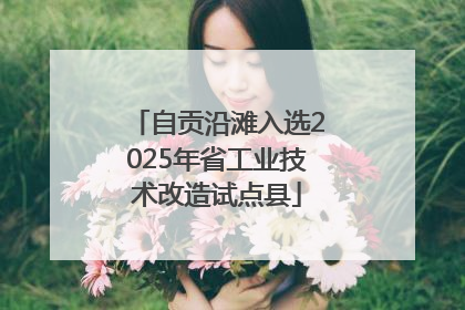 自贡沿滩入选2025年省工业技术改造试点县