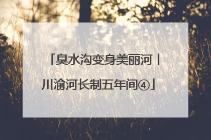 臭水沟变身美丽河丨川渝河长制五年间④
