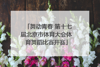 舞动青春 第十七届北京市体育大会体育舞蹈比赛开赛