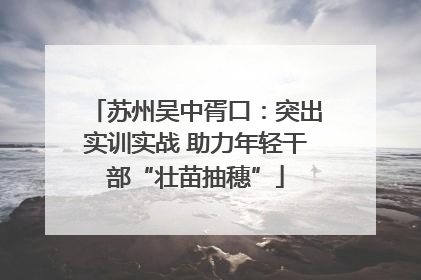 苏州吴中胥口：突出实训实战 助力年轻干部“壮苗抽穗”