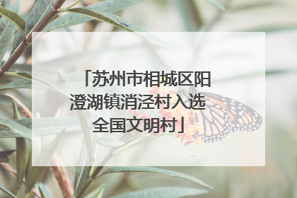 苏州市相城区阳澄湖镇消泾村入选全国文明村