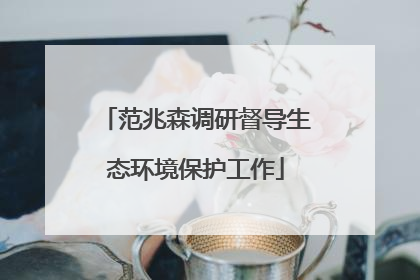 范兆森调研督导生态环境保护工作