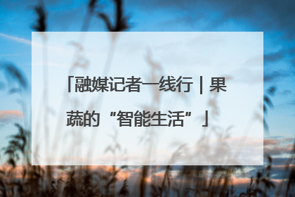 融媒记者一线行｜果蔬的“智能生活”