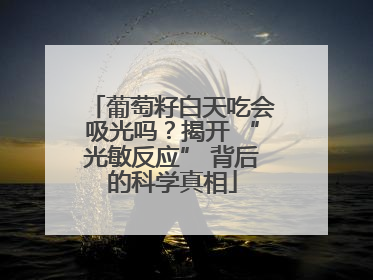 葡萄籽白天吃会吸光吗？揭开 “光敏反应” 背后的科学真相