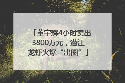 董宇辉4小时卖出3800万元，潜江龙虾火爆“出圈”