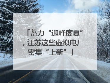 蓄力“迎峰度夏”，江苏这些虚拟电厂密集“上新”