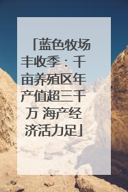 蓝色牧场丰收季：千亩养殖区年产值超三千万 海产经济活力足