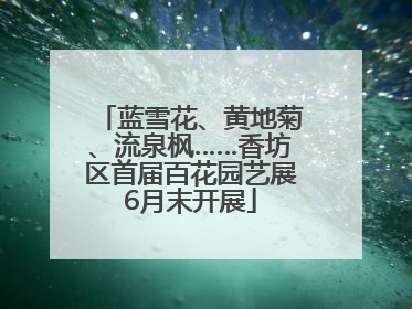 蓝雪花、黄地菊、流泉枫……香坊区首届百花园艺展6月末开展