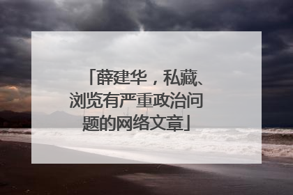 薛建华，私藏、浏览有严重政治问题的网络文章