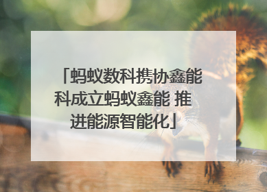 蚂蚁数科携协鑫能科成立蚂蚁鑫能 推进能源智能化