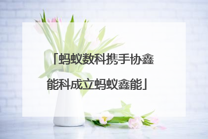 蚂蚁数科携手协鑫能科成立蚂蚁鑫能