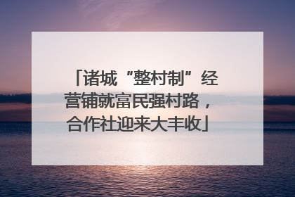 诸城“整村制”经营铺就富民强村路，合作社迎来大丰收
