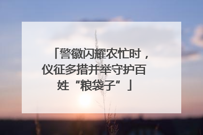 警徽闪耀农忙时，仪征多措并举守护百姓“粮袋子”
