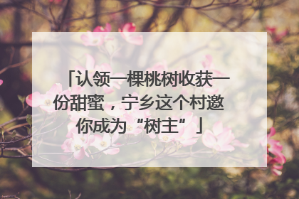认领一棵桃树收获一份甜蜜，宁乡这个村邀你成为“树主”