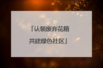认领废弃花箱 共建绿色社区