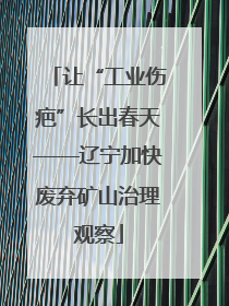 让“工业伤疤”长出春天——辽宁加快废弃矿山治理观察