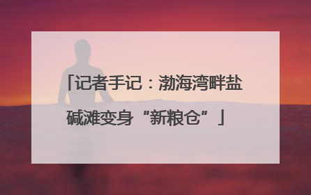 记者手记：渤海湾畔盐碱滩变身“新粮仓”