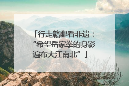行走赣鄱看非遗：“希望岳家拳的身影遍布大江南北”