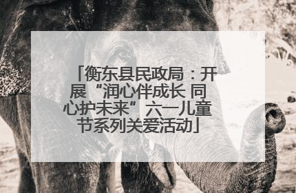 衡东县民政局：开展“润心伴成长 同心护未来”六一儿童节系列关爱活动