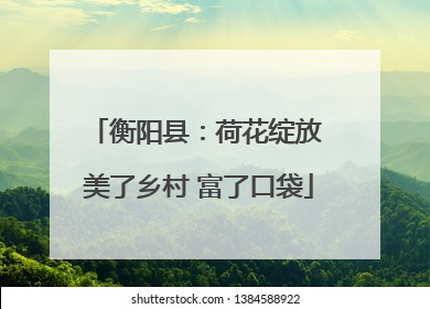 衡阳县：荷花绽放 美了乡村 富了口袋