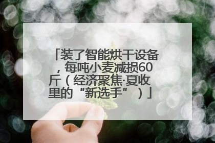 装了智能烘干设备，每吨小麦减损60斤（经济聚焦·夏收里的“新选手”）