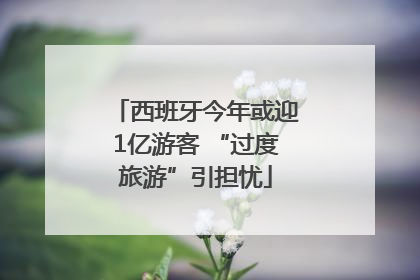 西班牙今年或迎1亿游客 “过度旅游”引担忧