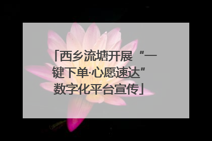 西乡流塘开展“一键下单·心愿速达”数字化平台宣传