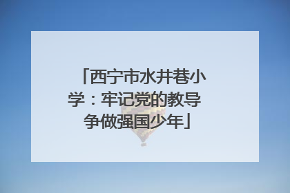 西宁市水井巷小学：牢记党的教导 争做强国少年
