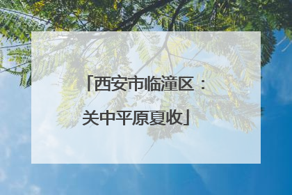 西安市临潼区：关中平原夏收