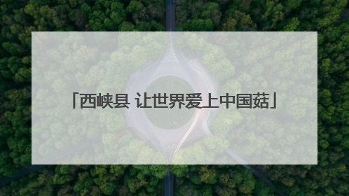 西峡县 让世界爱上中国菇