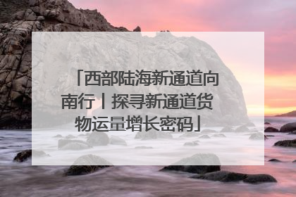 西部陆海新通道向南行丨探寻新通道货物运量增长密码