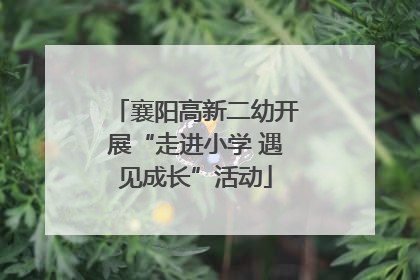 襄阳高新二幼开展“走进小学 遇见成长”活动
