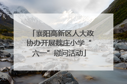 襄阳高新区人大政协办开展魏庄小学“六一”慰问活动