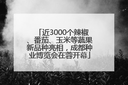 近3000个辣椒、番茄、玉米等蔬果新品种亮相，成都种业博览会在蓉开幕