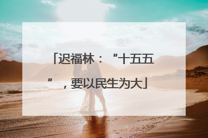 迟福林:“十五五”,要以民生为大