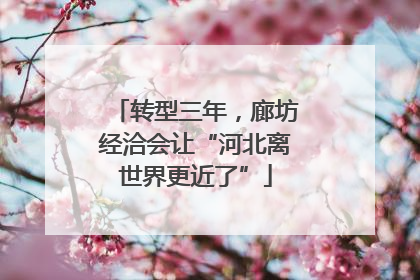转型三年，廊坊经洽会让“河北离世界更近了”