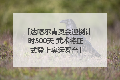 达喀尔青奥会迎倒计时500天 武术将正式登上奥运舞台