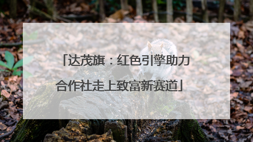 达茂旗：红色引擎助力合作社走上致富新赛道