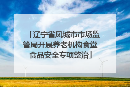 辽宁省凤城市市场监管局开展养老机构食堂食品安全专项整治