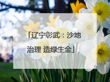 辽宁彰武：沙地治理 造绿生金