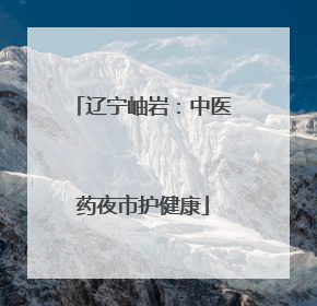 辽宁岫岩：中医药夜市护健康