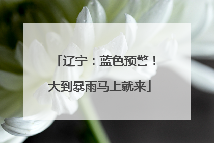 辽宁：蓝色预警！大到暴雨马上就来