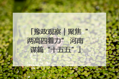 豫政观察｜聚焦“两高四着力” 河南谋篇“十五五”