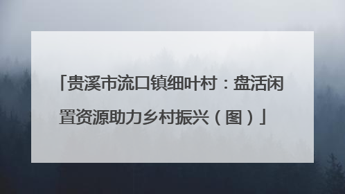 贵溪市流口镇细叶村：盘活闲置资源助力乡村振兴（图）