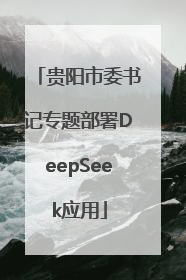 贵阳市委书记专题部署DeepSeek应用
