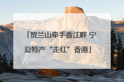 贺兰山牵手香江畔 宁夏特产“走红”香港