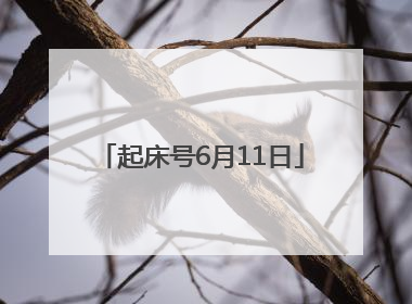 起床号6月11日