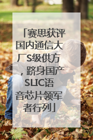 赛思获评国内通信大厂S级供方，跻身国产SLIC语音芯片领军者行列