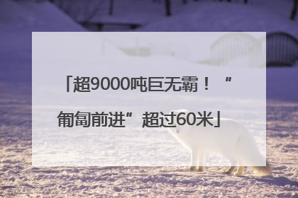 超9000吨巨无霸！“匍匐前进”超过60米